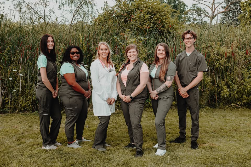 Veterinarian in Holly, MI